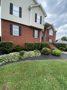 Adairsville Pine Straw