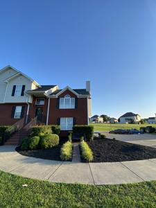 Adairsville Landscape Restoration