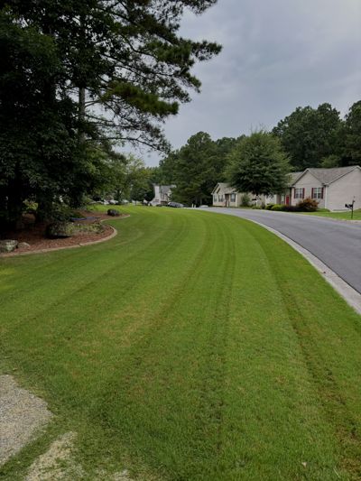 Overgrown Yard Recovery