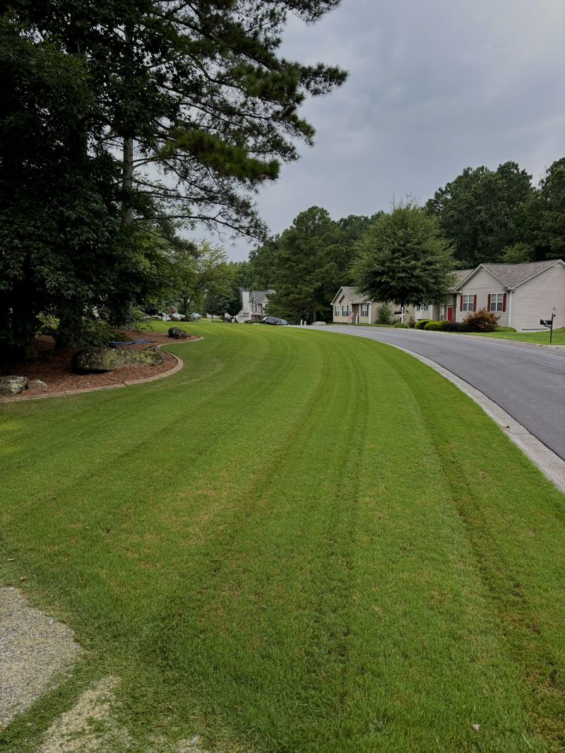 Shrub Trimming and Hedging Services
