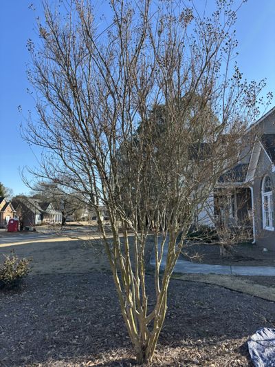 Pruned lawns Kennesaw