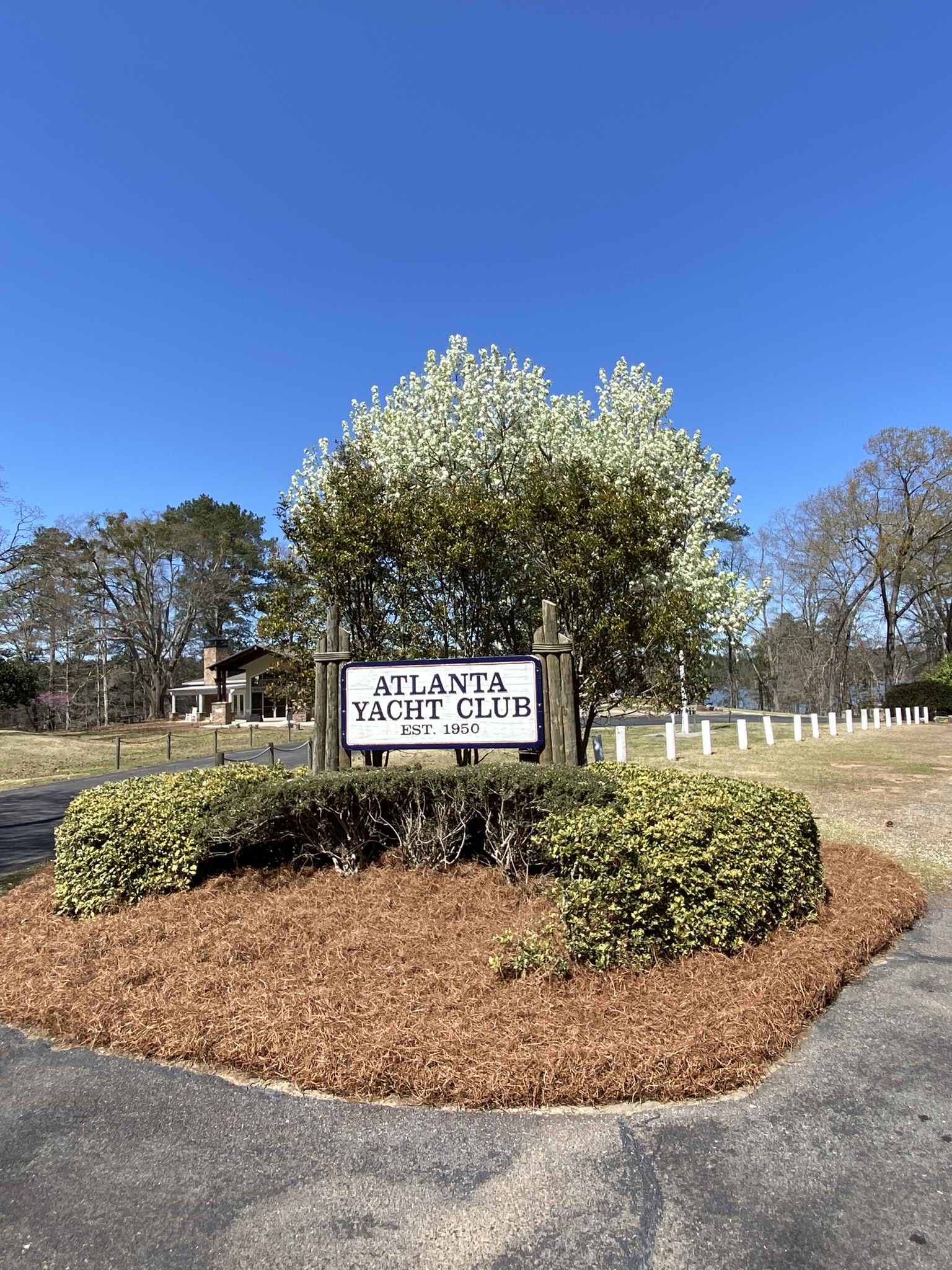 Professional landscape design