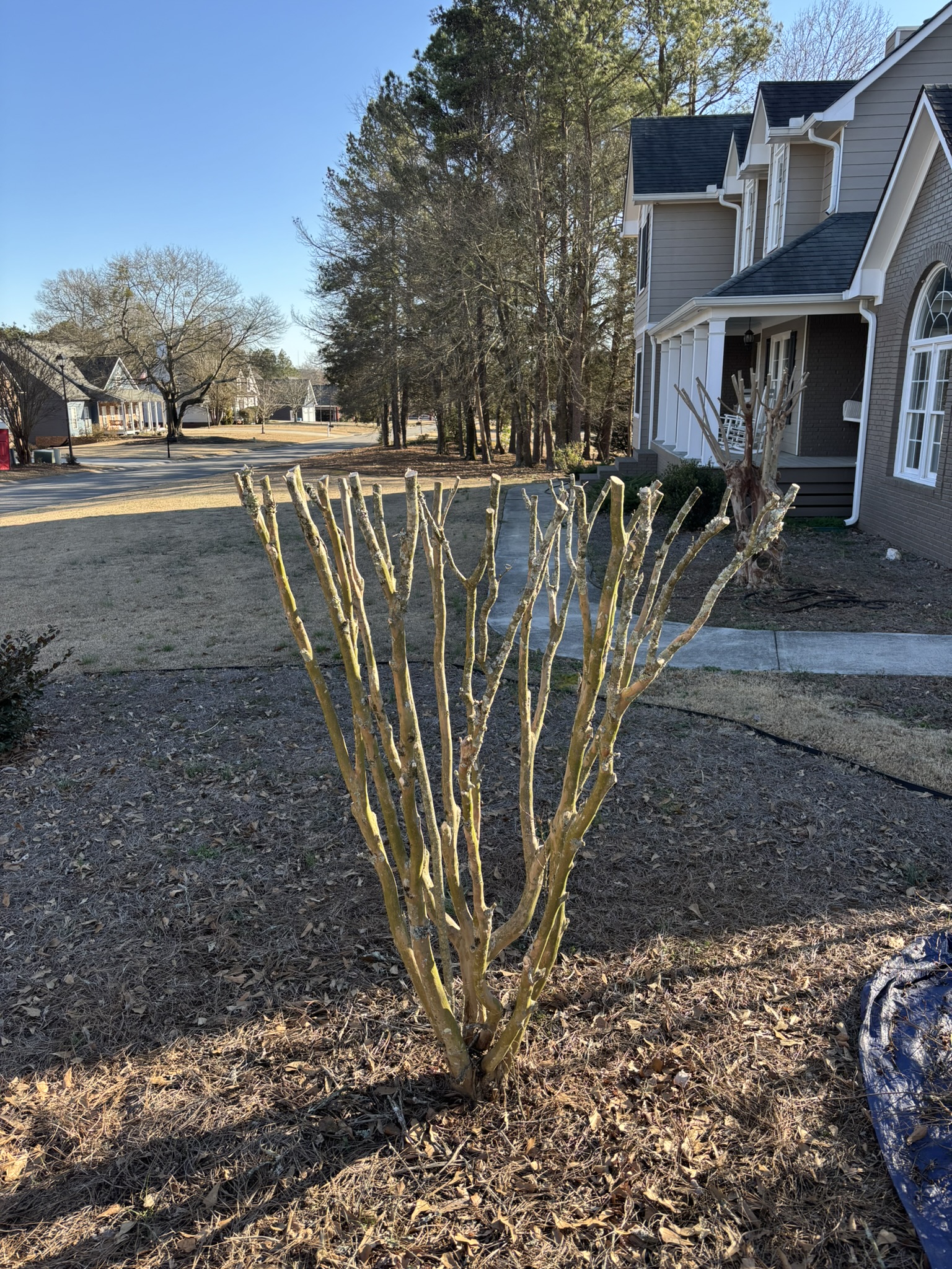 Ongoing landscape maintenance