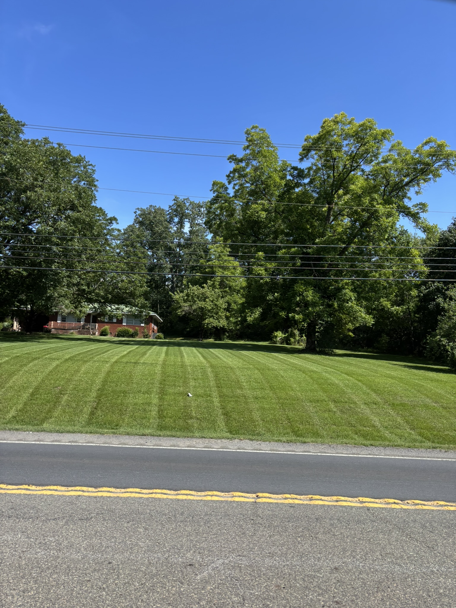 Seasonal lawn care