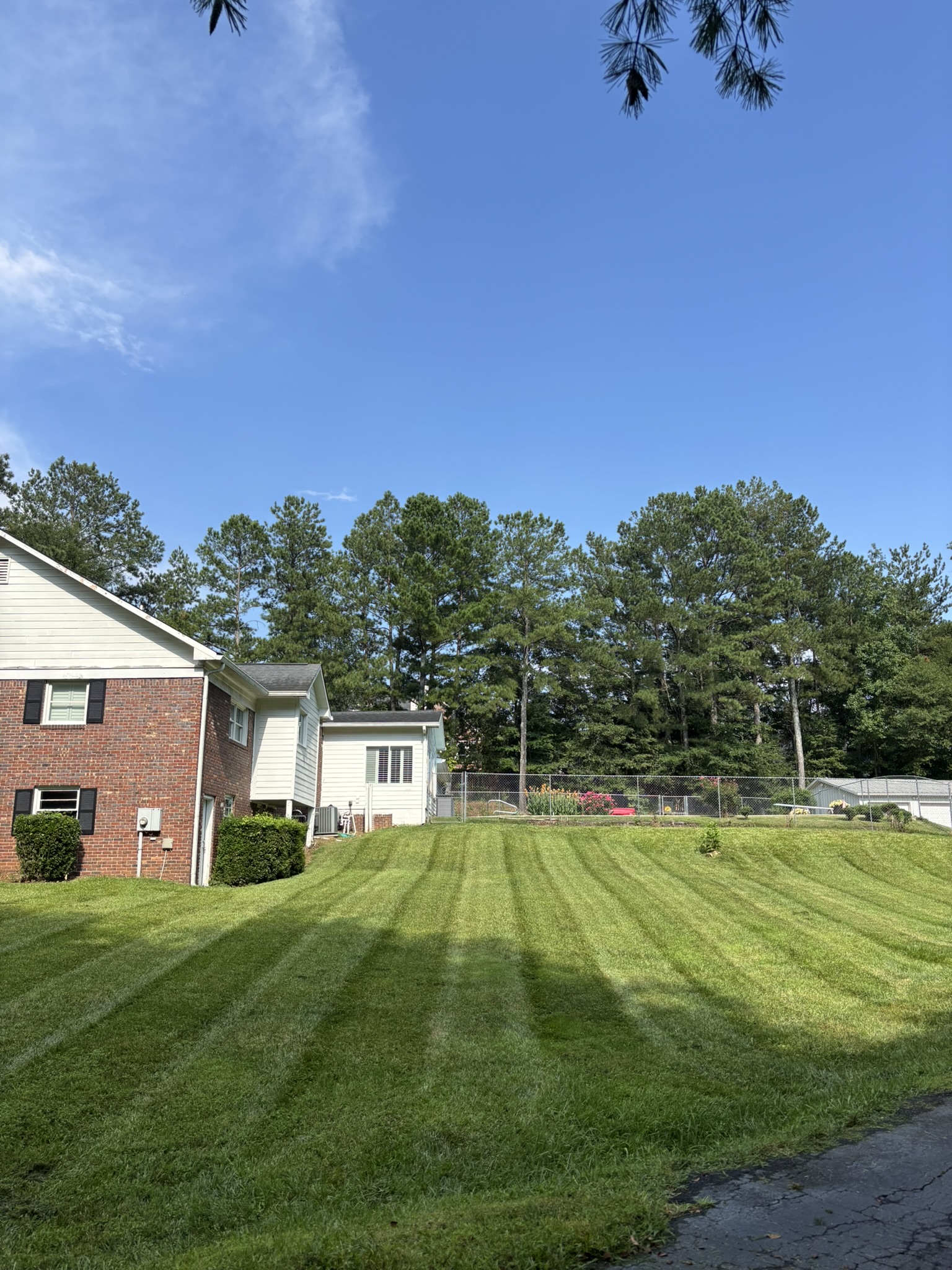 Ongoing landscape maintenance