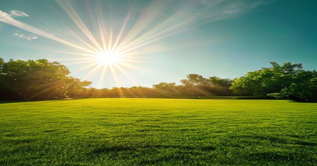 The Importance of Aeration and Overseeding in North Georgia - Fresh Edge Lawn Care